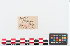 Etiketten zu Bronzeschlangenfibel (NHMW-PRAE-024943)